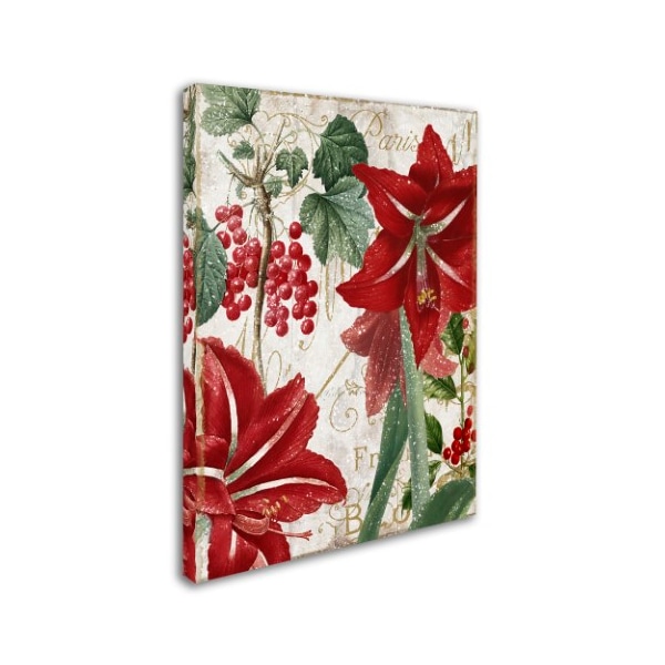 Color Bakery 'Amaryllis' Canvas Art,14x19